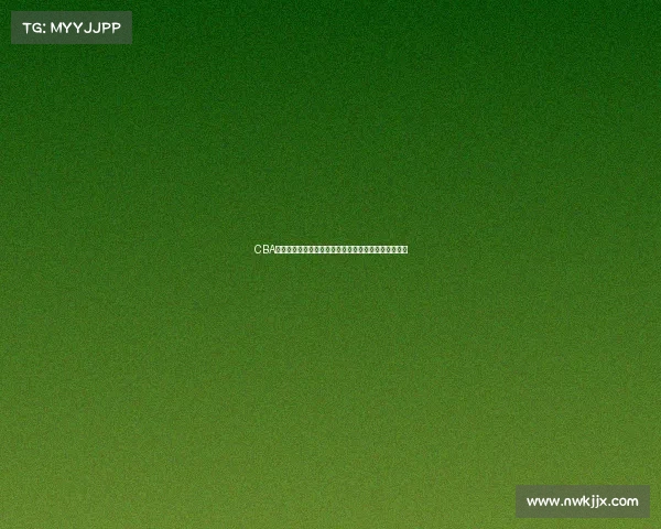 CBA联赛外援引进趋势分析及亚洲外援对球队竞争力的影响 CBA联赛外援引进趋势分析及亚洲外援对球队竞争力的影响